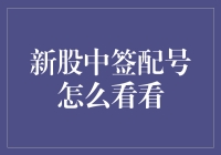 一场新股中签配号的奇妙冒险：从新手到大神的进阶之路