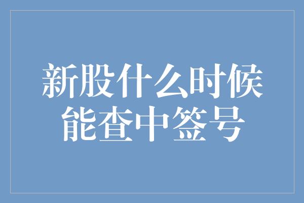 新股什么时候能查中签号