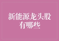 新能源龙头股抢先看：谁才是绿色投资的风向标？