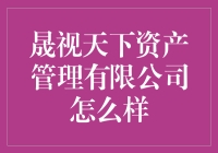 晟视天下资产管理：专业与稳健并行的典范