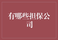 中国顶级担保公司：多元化服务助力企业稳健发展