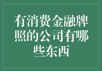 持有消费金融牌照的公司：新兴市场中的金融巨擘