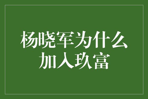 杨晓军为什么加入玖富