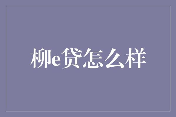 柳e贷怎么样