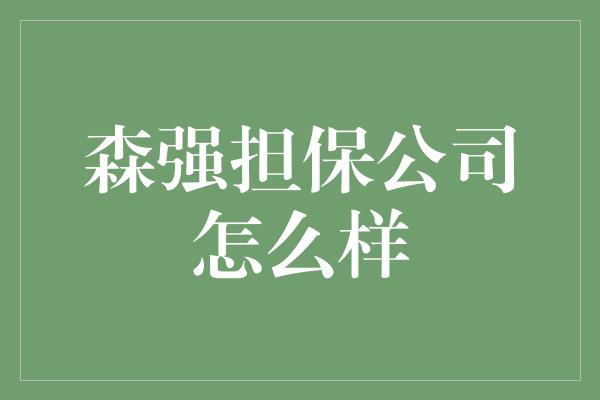 森强担保公司怎么样