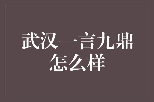 武汉一言九鼎怎么样