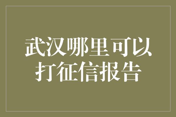 武汉哪里可以打征信报告