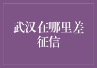 武汉征信查询：如何识别并规避信用风险