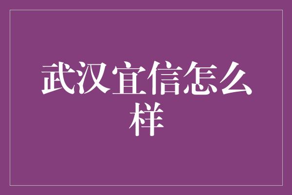 武汉宜信怎么样