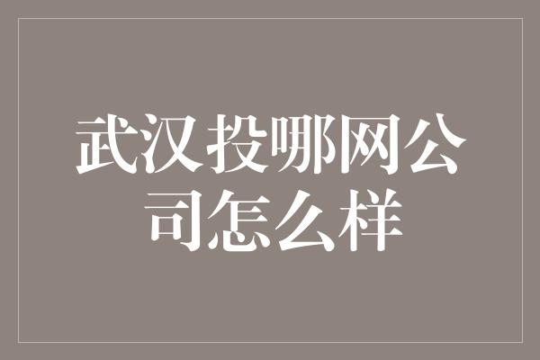 武汉投哪网公司怎么样