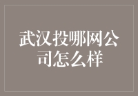 武汉投哪网公司？听起来就像是在问我口袋里的钱要飞到哪里去！