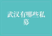 武汉私募基金：助力当地经济发展的关键力量