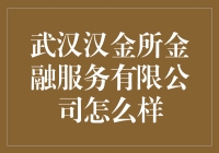 武汉汉金所：是你寻找财富的汉堡，还是金融江湖中的所以不存？