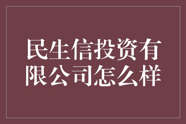 民生信投资有限公司怎么样