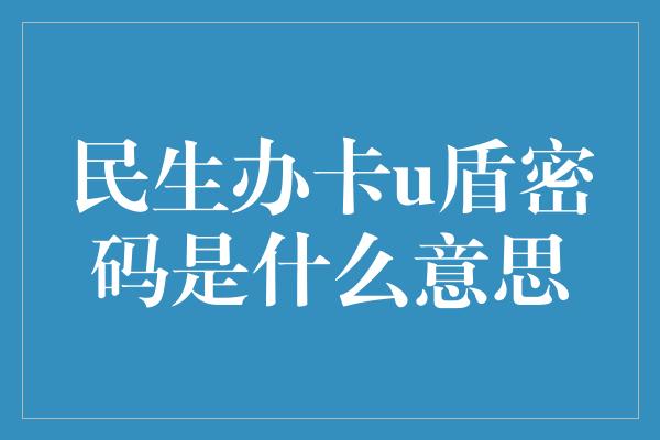 民生办卡u盾密码是什么意思