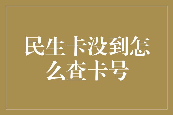 民生卡没到怎么查卡号