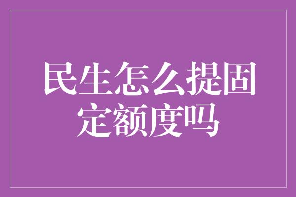 民生怎么提固定额度吗