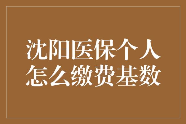 沈阳医保个人怎么缴费基数