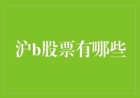 沪B股票的投资机会与分析：抓住上海本地市场的发展潜力