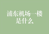 浦东机场一楼是什么？揭秘航空枢纽的核心区域