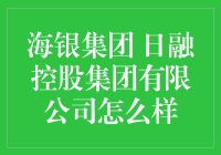 海银集团与日融控股集团有限公司：金融行业的双重考量