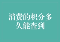 积分查询大作战：你可能不知道的那些事儿