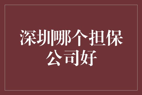 深圳哪个担保公司好