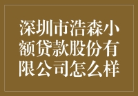 深圳市浩森小额贷款股份有限公司：正视服务品质，打造金融创新的未来