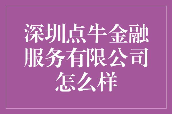 深圳点牛金融服务有限公司怎么样