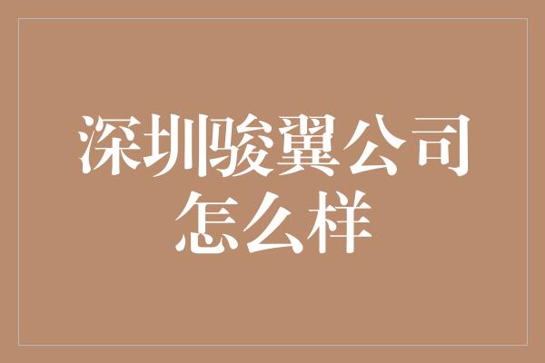 深圳骏翼公司怎么样