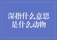 深指到底是什么意思？难道是新品种的宠物猫吗？