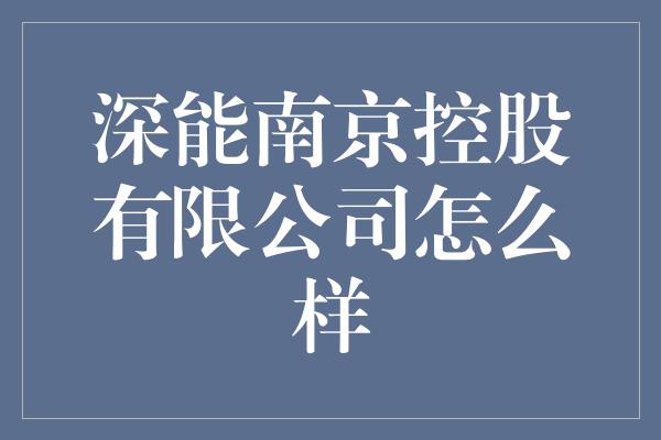 深能南京控股有限公司怎么样