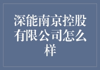 深能南京控股有限公司：做电力界的快乐肥宅水