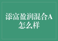 买基金？添富盈润混合A——你的钱包守护者！