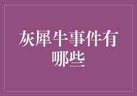 灰犀牛事件：当科技产品变得像灰犀牛一样显而易见