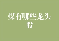 煤炭业龙头企业：引领绿色转型的双刃剑