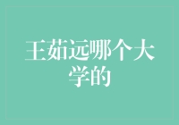 王茹远：从北大到中金的金融传奇