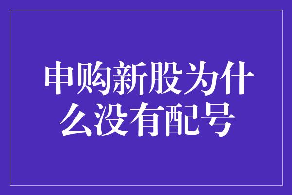 申购新股为什么没有配号