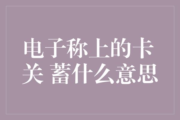 电子称上的卡 关 蓄什么意思