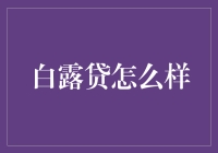 白露贷：数字时代下的借贷革新