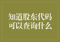 股东代码的多重查询功能解析：深度探讨其在资本市场中的应用与价值