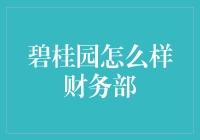 碧桂园财务部：一个数字上的大冒险