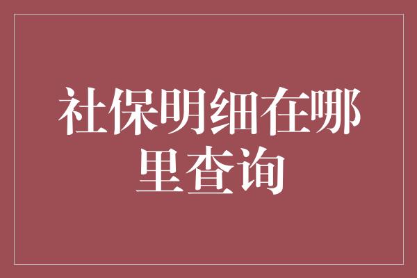 社保明细在哪里查询