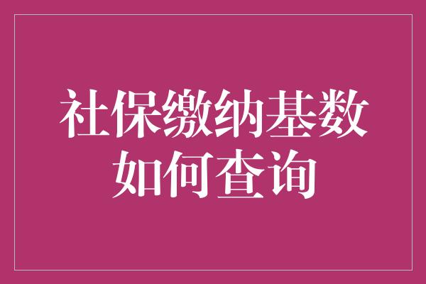 社保缴纳基数如何查询