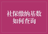 社保缴纳基数查询攻略：轻松掌握你的社保权益