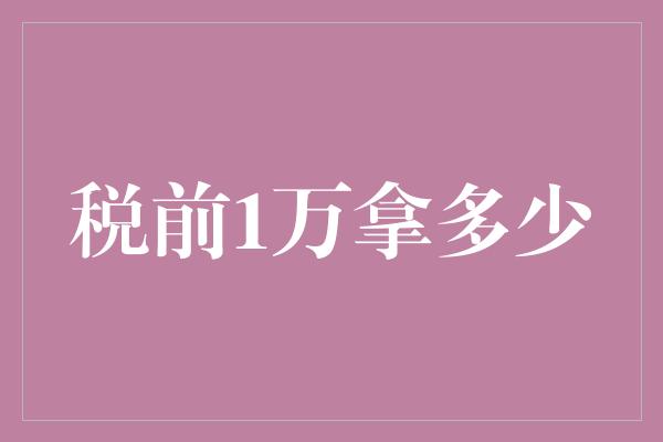 税前1万拿多少