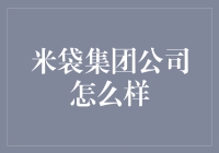 米袋集团公司：多元化经营下的稳健发展之路