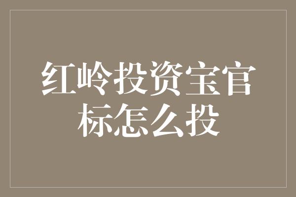 红岭投资宝官标怎么投