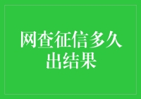 网查征信结果解析：时间与实用指南