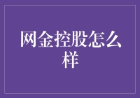 网金控股：互联网金融时代的领头羊